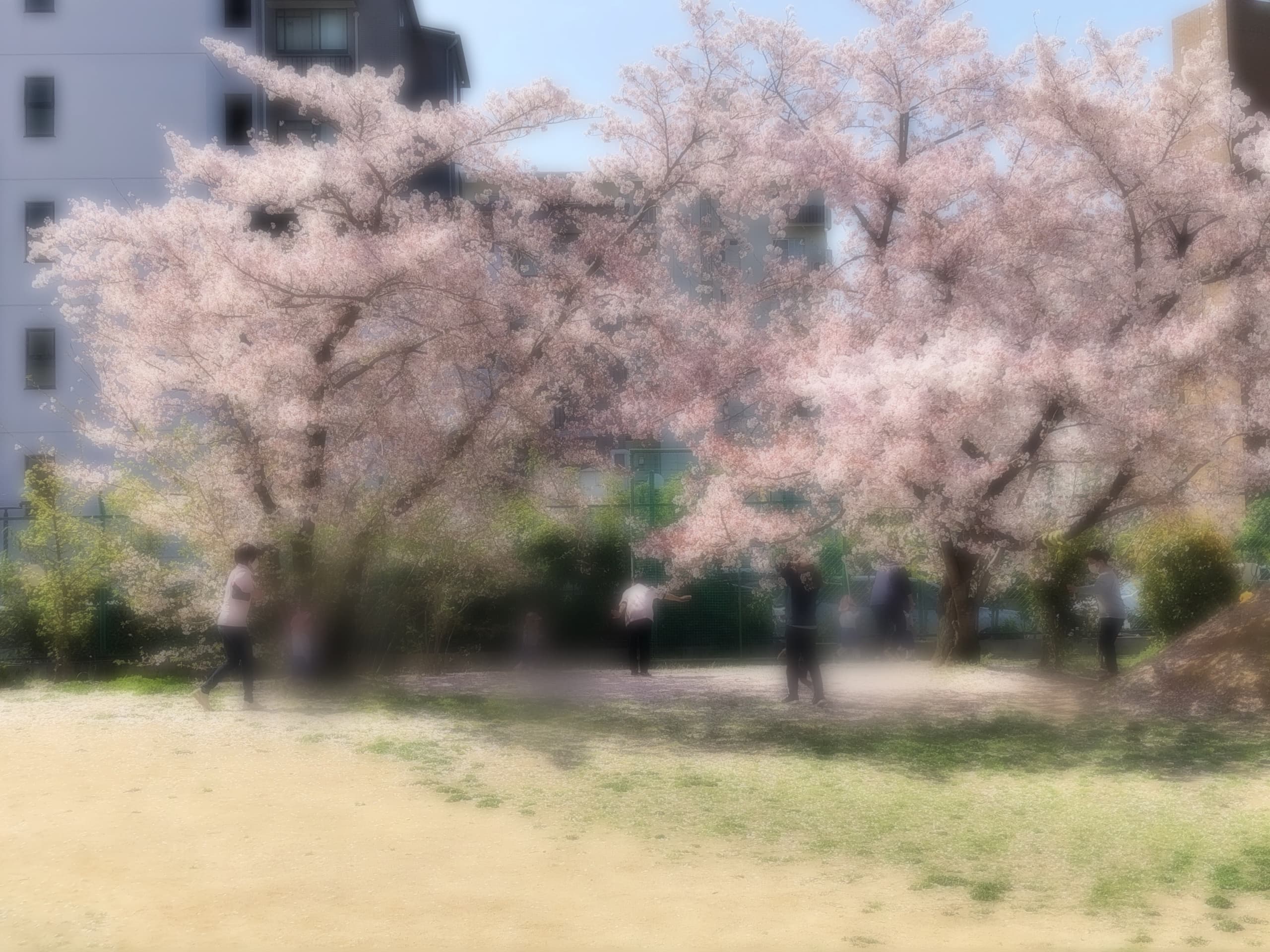 img20220202182420347784.jpg