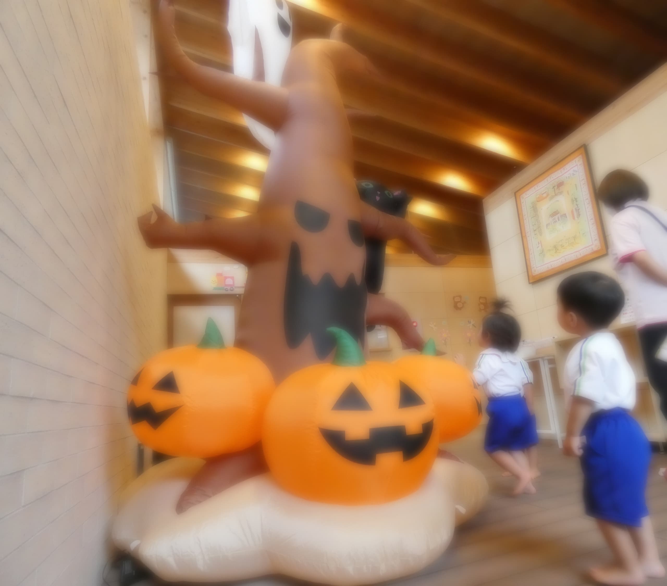 img20220202182417298761.jpg