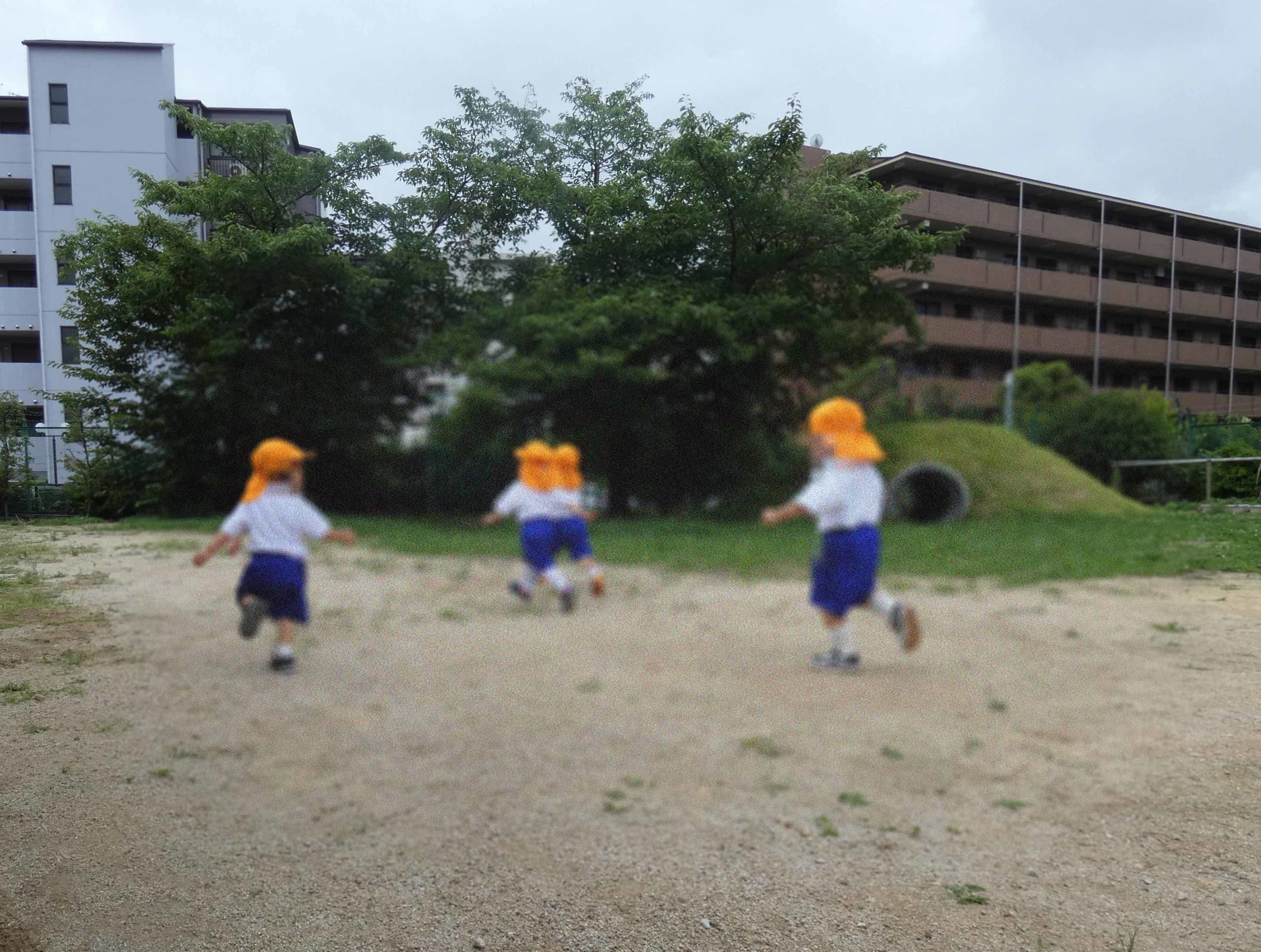 p1020858.jpg